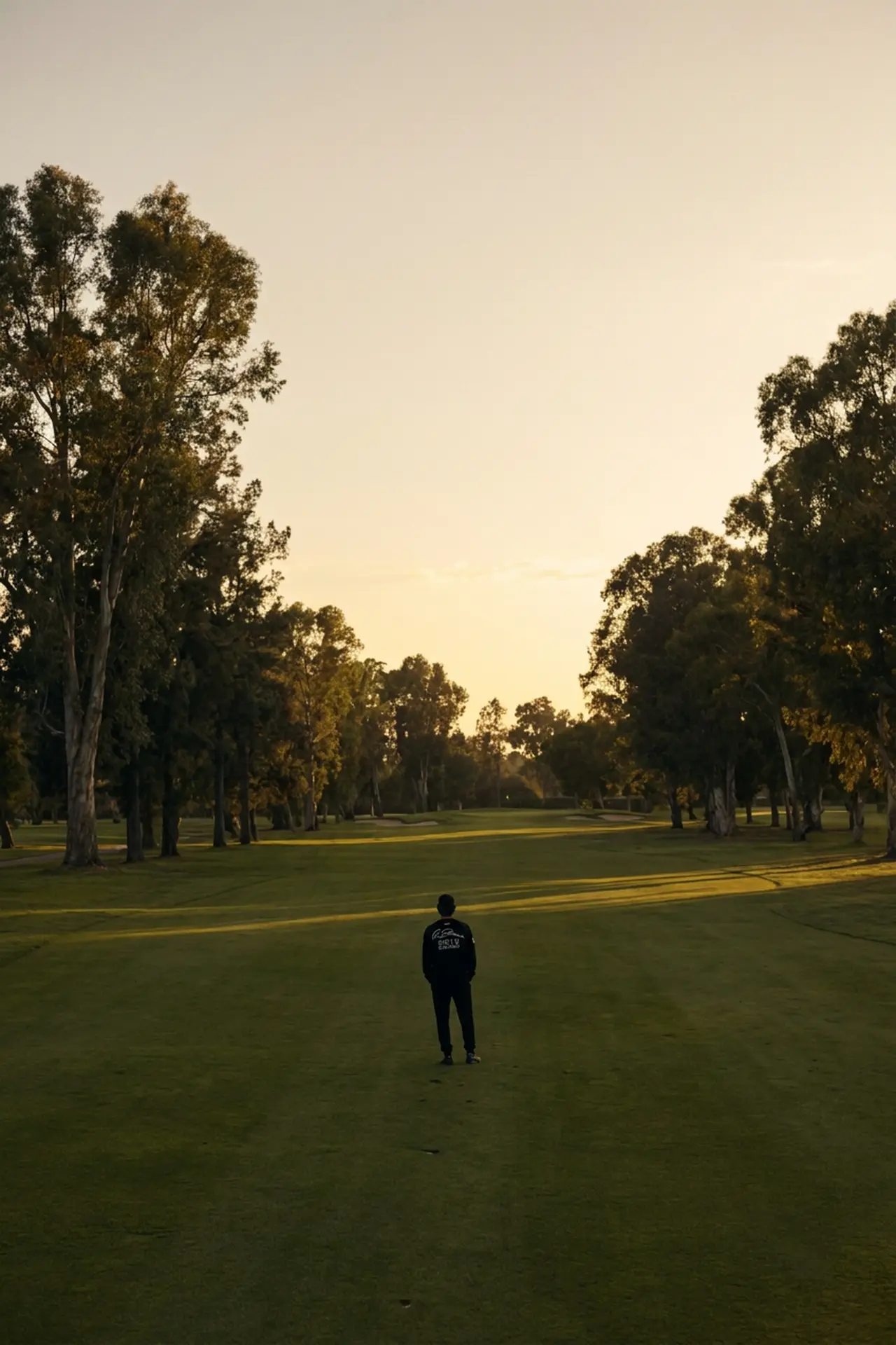 Golfer alone on a tree-lined fairway at golden hour
